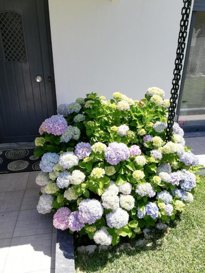 Moradia No Seixal Ericeira Hotel ภายนอก รูปภาพ